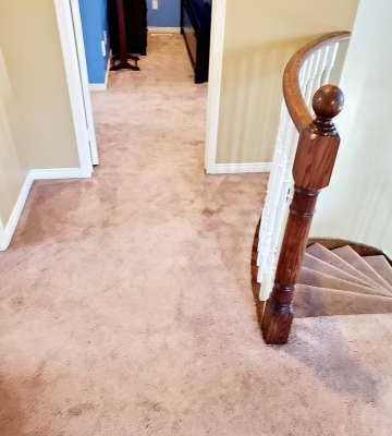 Halifax Cleaning Company