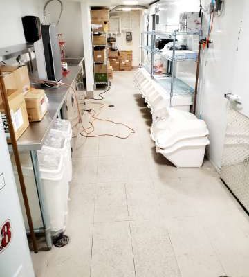 Halifax Commercial Cleaning Services